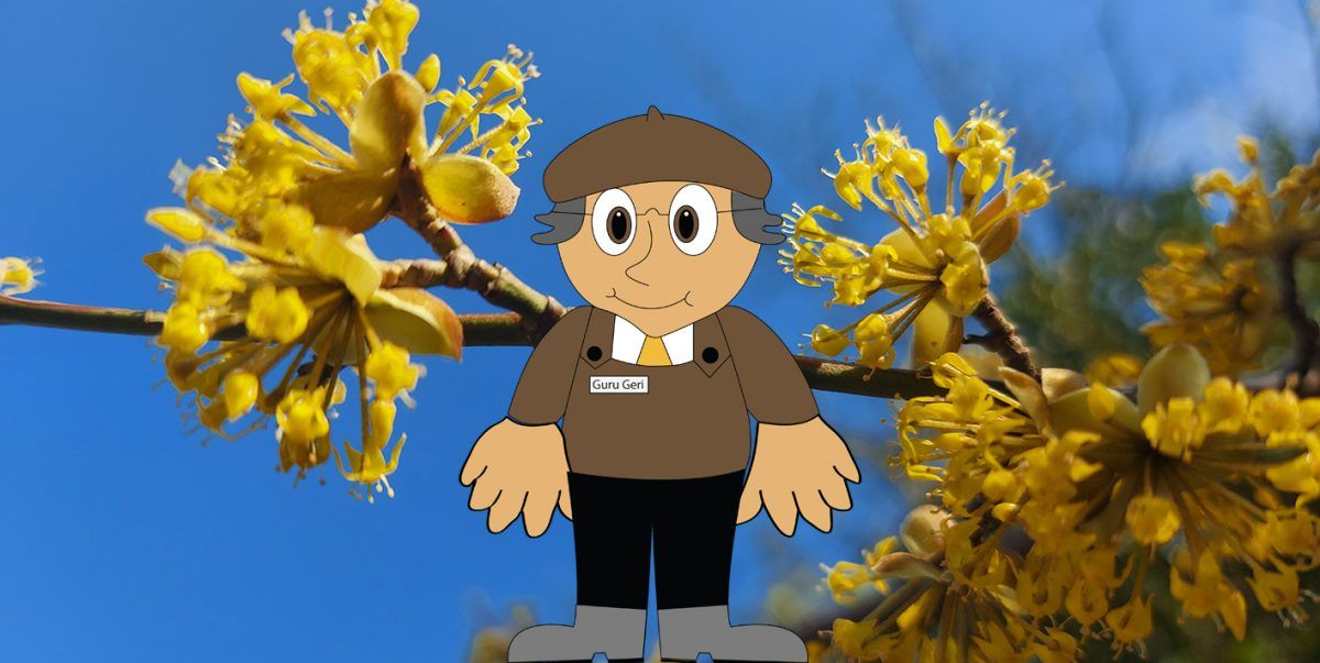 WPC teraszburkolat kerítés WPC teraszburkolat kerítés