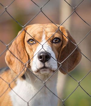 wpc kerítés wpc kerítés